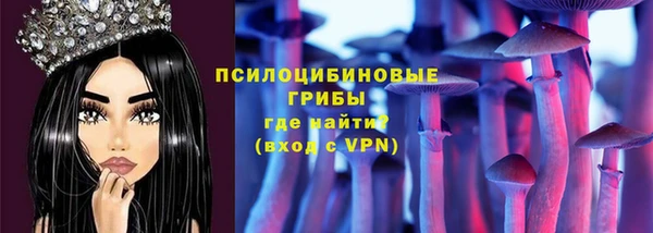 дмт Алексин