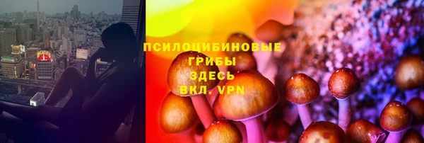 ALPHA-PVP Алексеевка