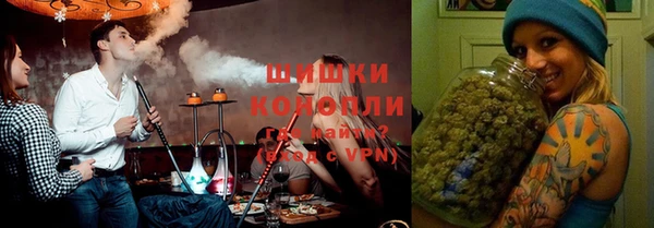 дмт Алексин